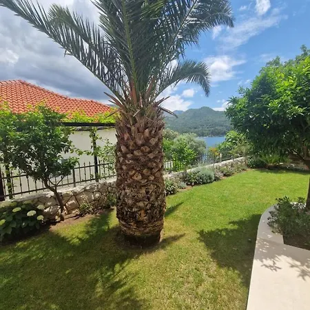 Aparthotel Lukic