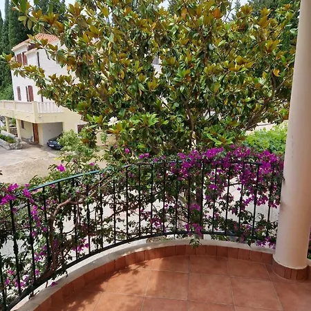 Sea Garden Slano Apartments Slano